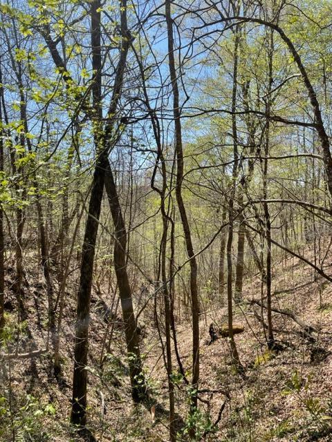 Pine Grove Road Bremen, AL 35033 - Photo 6 of 19 Gallery Image 6