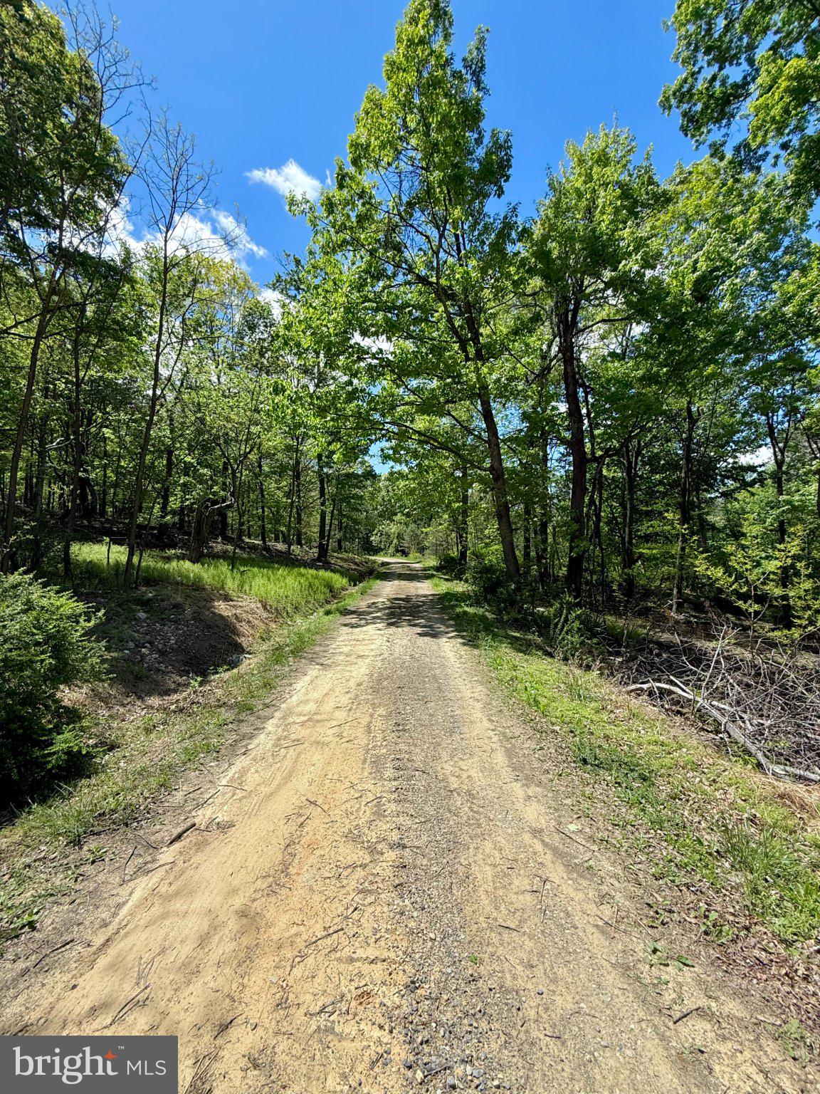 115 River Ridge Yellow Spring, WV 26865 - Photo 6 of 25 Serene woodland path awaits adventure.