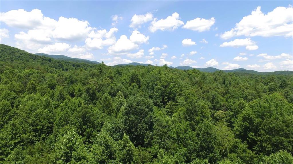 220 Flagpole Road Ellijay, GA 30540 - Photo 1 of 1 Gallery Image 1