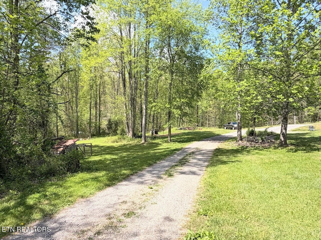 1617 Bull Run Road Luttrell, TN 37779 - Photo 13 of 45 IMG_9715