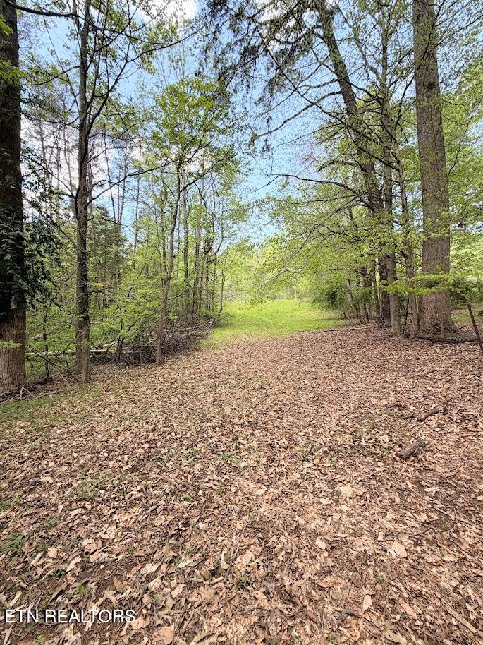 1617 Bull Run Road Luttrell, TN 37779 - Photo 14 of 45 IMG_9705