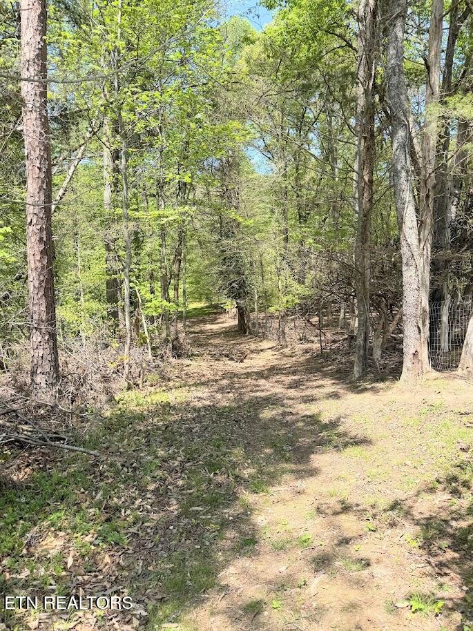 1617 Bull Run Road Luttrell, TN 37779 - Photo 15 of 45 IMG_9680