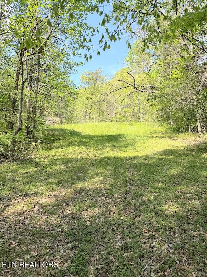 1617 Bull Run Road Luttrell, TN 37779 - Photo 16 of 45 IMG_9683