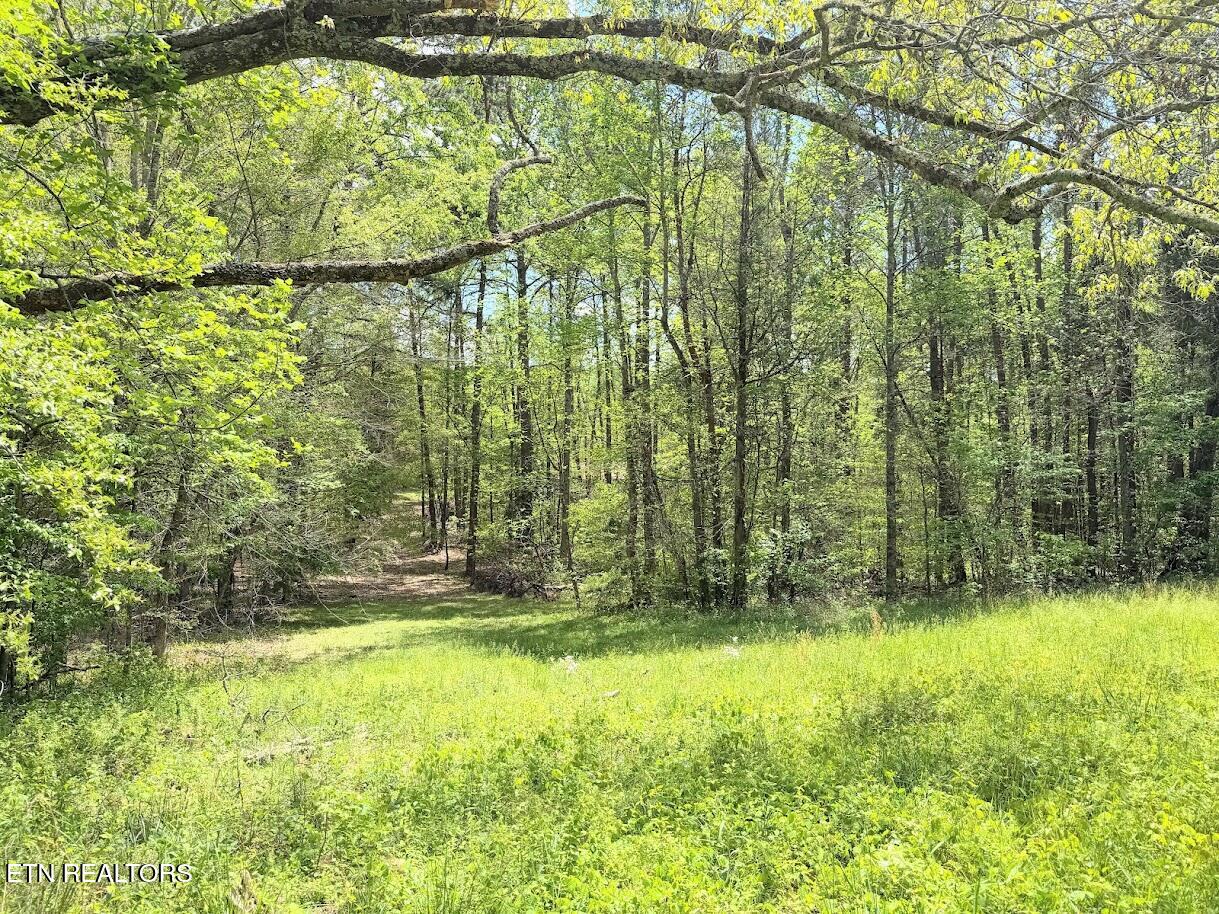 1617 Bull Run Road Luttrell, TN 37779 - Photo 17 of 45 IMG_9699