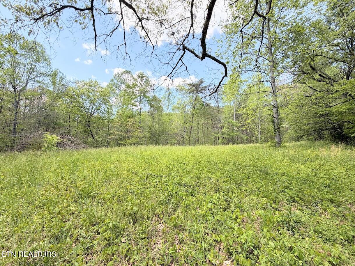 1617 Bull Run Road Luttrell, TN 37779 - Photo 18 of 45 IMG_9700