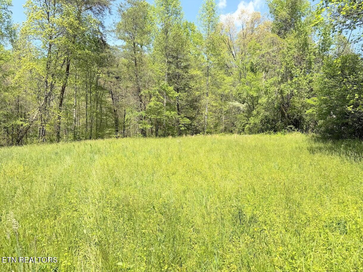 1617 Bull Run Road Luttrell, TN 37779 - Photo 19 of 45 IMG_9685