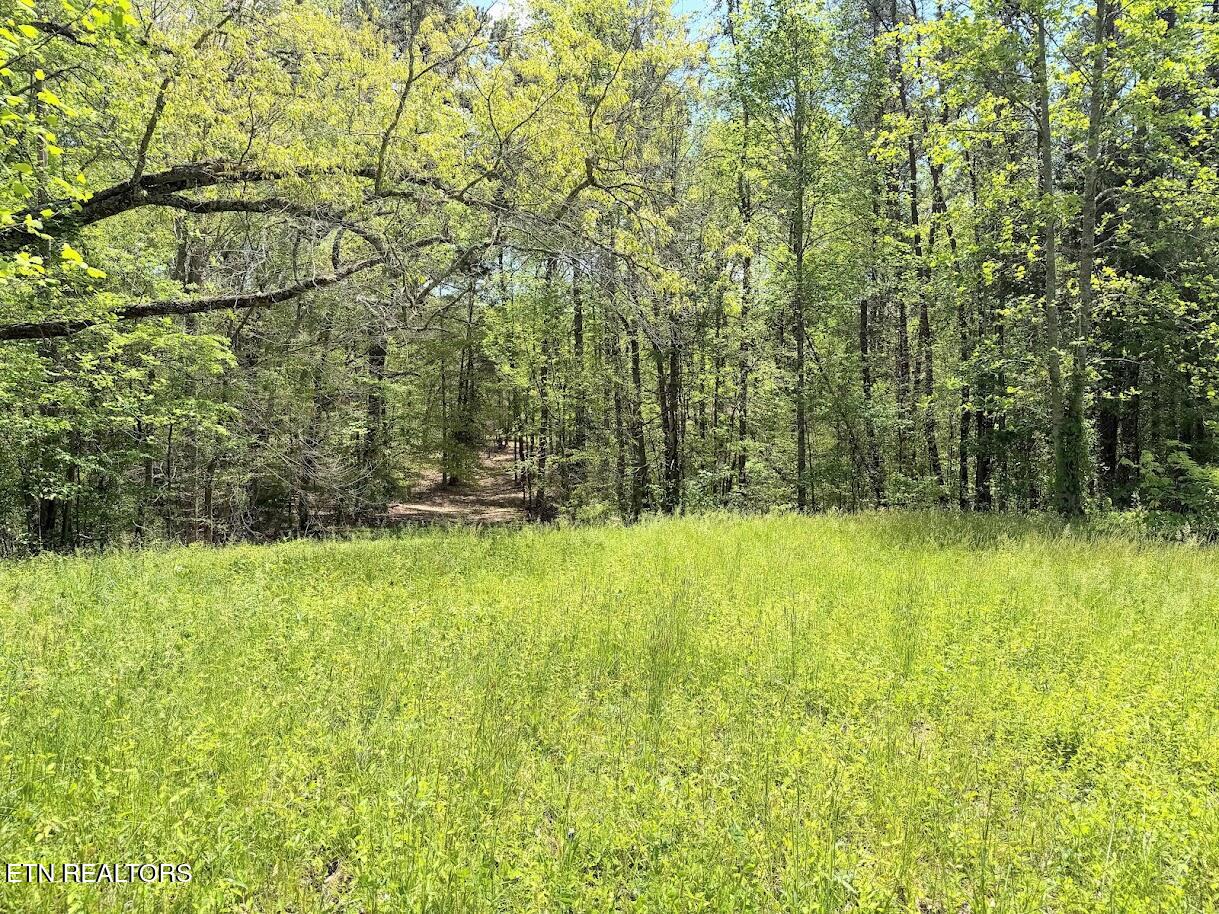 1617 Bull Run Road Luttrell, TN 37779 - Photo 20 of 45 IMG_9686