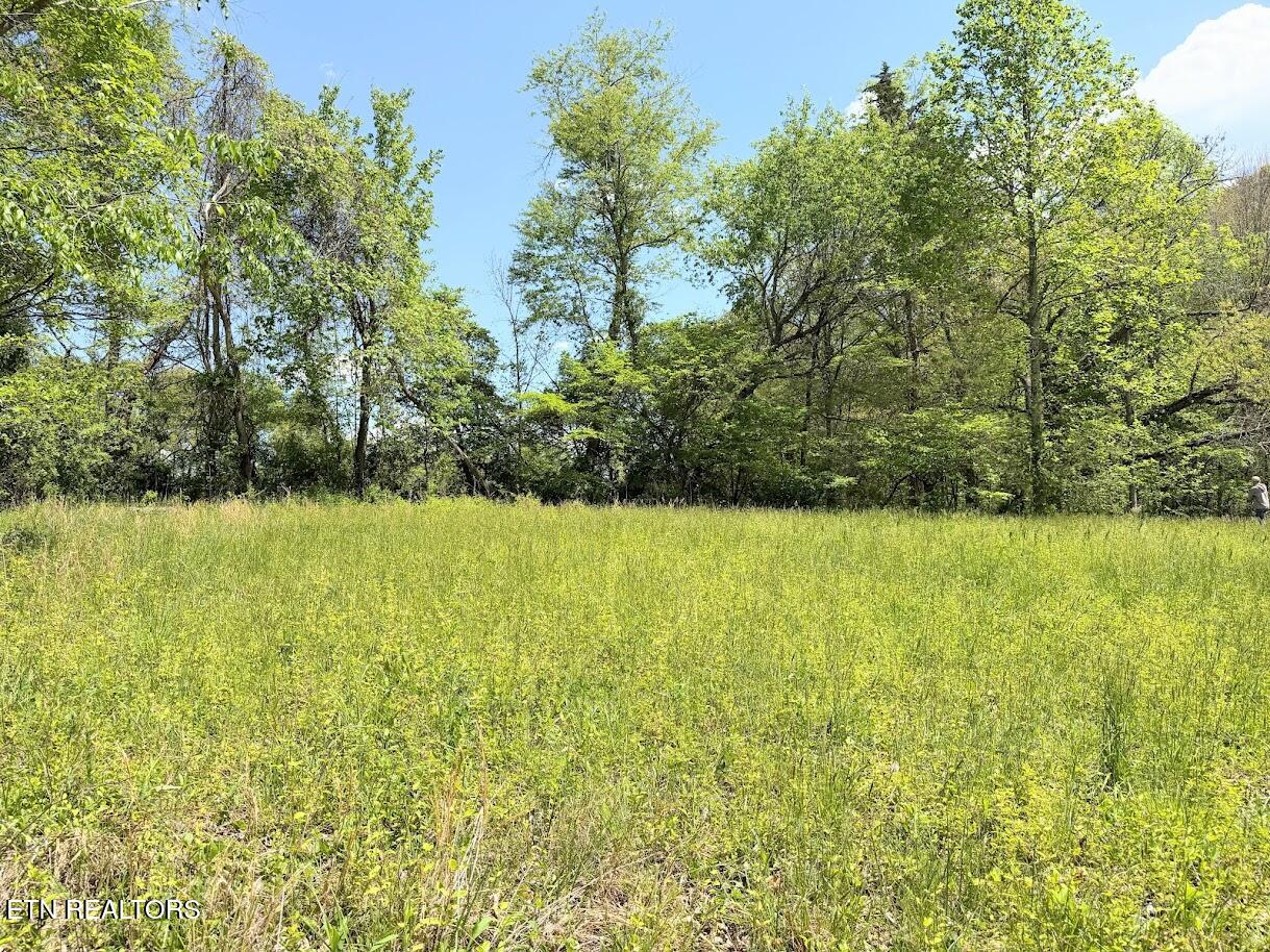1617 Bull Run Road Luttrell, TN 37779 - Photo 21 of 45 IMG_9689