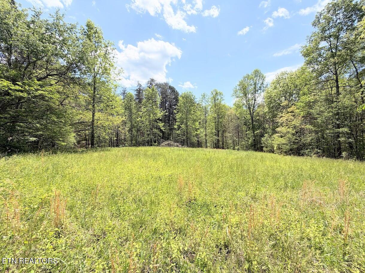 1617 Bull Run Road Luttrell, TN 37779 - Photo 22 of 45 IMG_9692