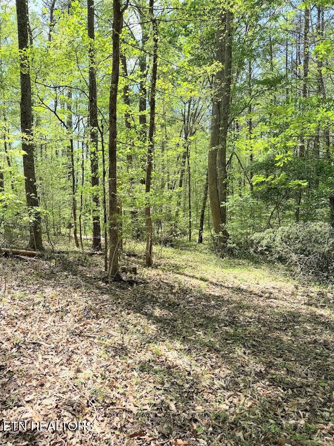 1617 Bull Run Road Luttrell, TN 37779 - Photo 23 of 45 IMG_9681