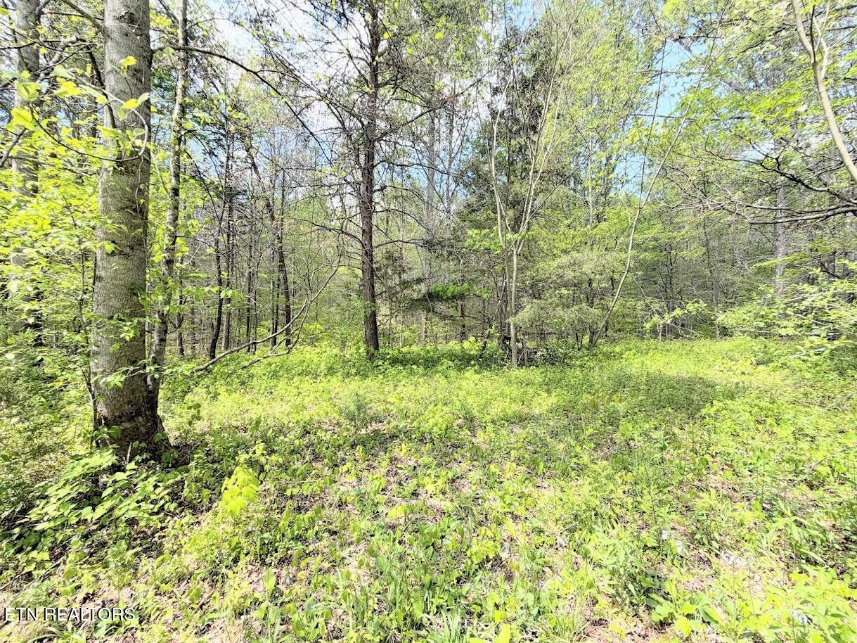 1617 Bull Run Road Luttrell, TN 37779 - Photo 24 of 45 IMG_9695