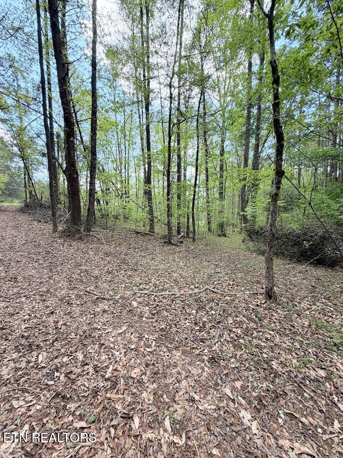1617 Bull Run Road Luttrell, TN 37779 - Photo 26 of 45 IMG_9703