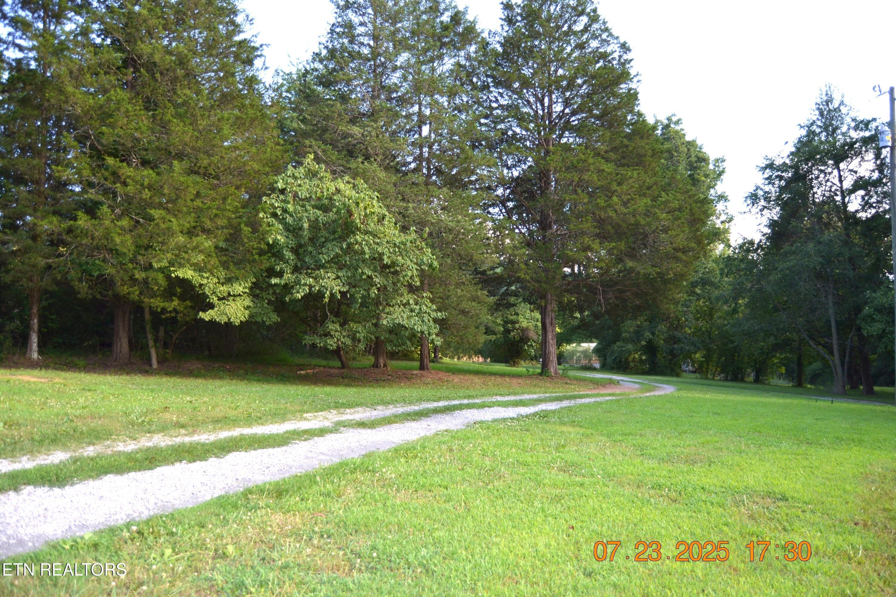 1617 Bull Run Road Luttrell, TN 37779 - Photo 7 of 34 DSC_0151
