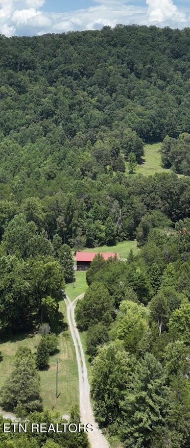 1617 Bull Run Road Luttrell, TN 37779 - Photo 8 of 45 1000027032