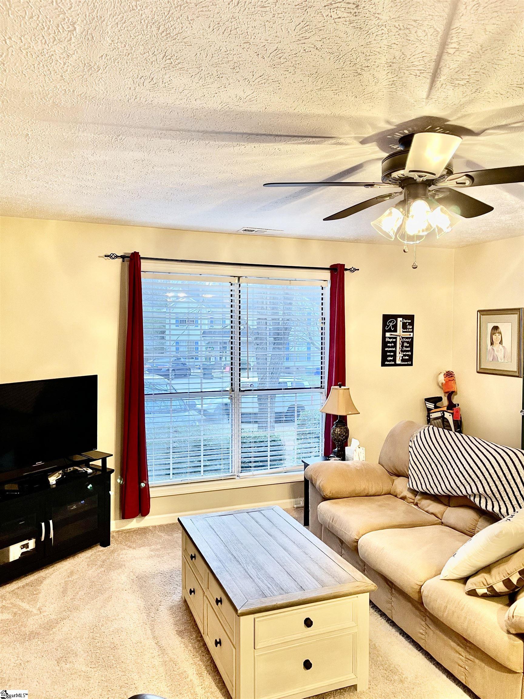 15 Setter Lane, Unit B Greenville, SC 29607 - Photo 3 of 19