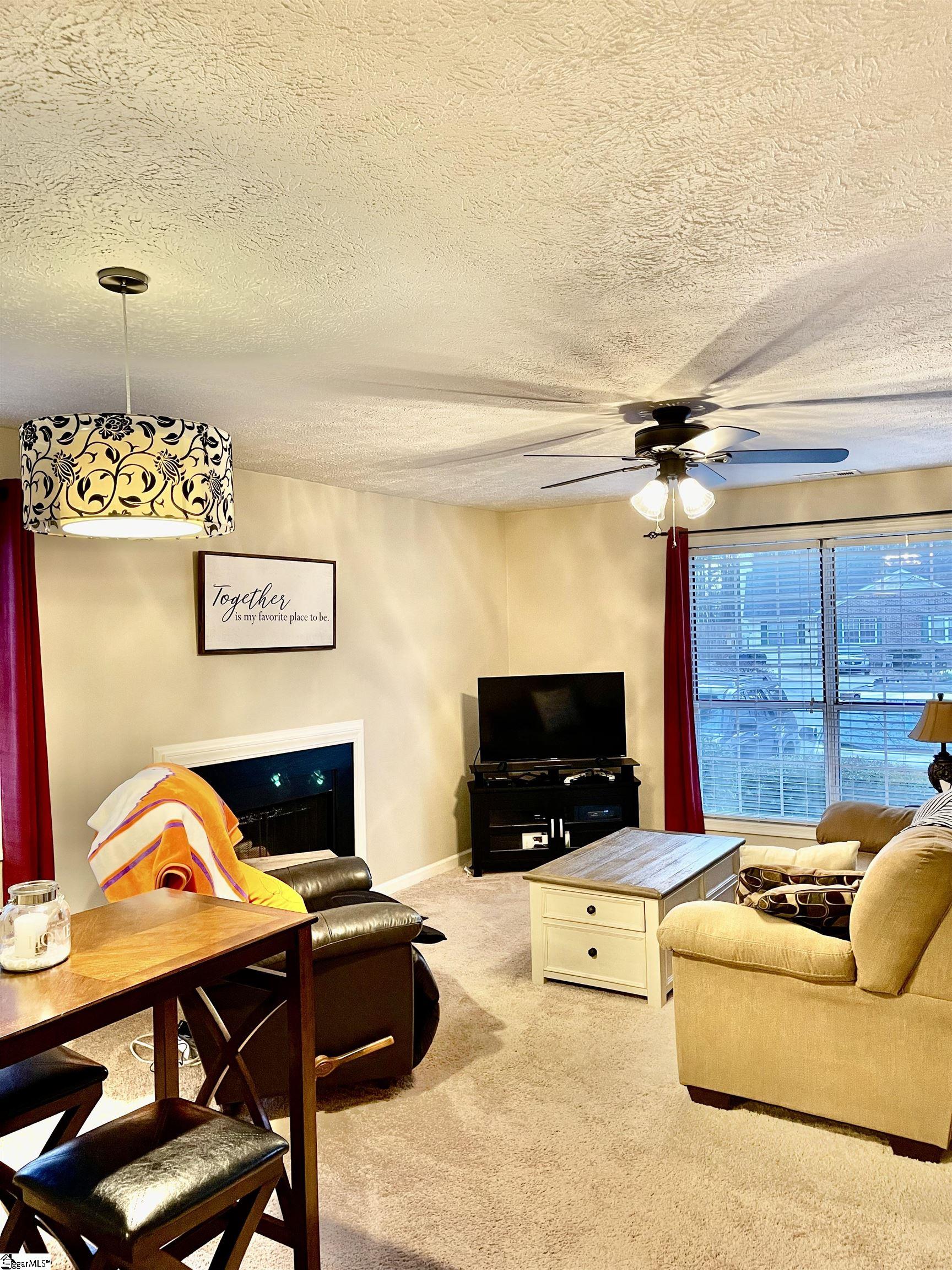 15 Setter Lane, Unit B Greenville, SC 29607 - Photo 4 of 19