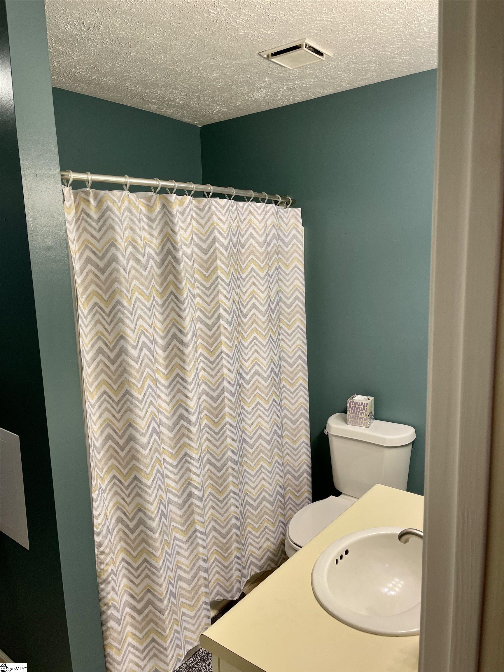 15 Setter Lane, Unit B Greenville, SC 29607 - Photo 9 of 19