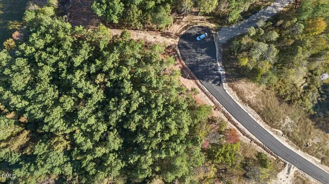a view of a yard with large trees