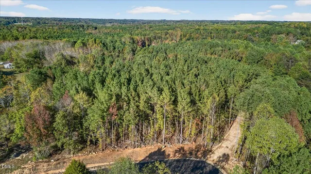 a view of a yard with plants and large trees