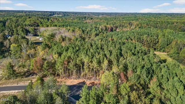 a view of a green field with lots of bushes