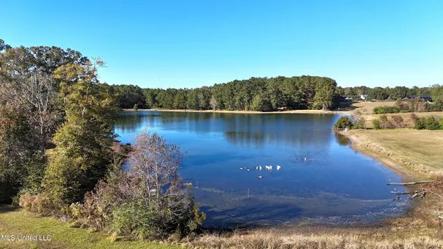 $890,000 | 2655 Highway 43 South, Picayune, MS 39466