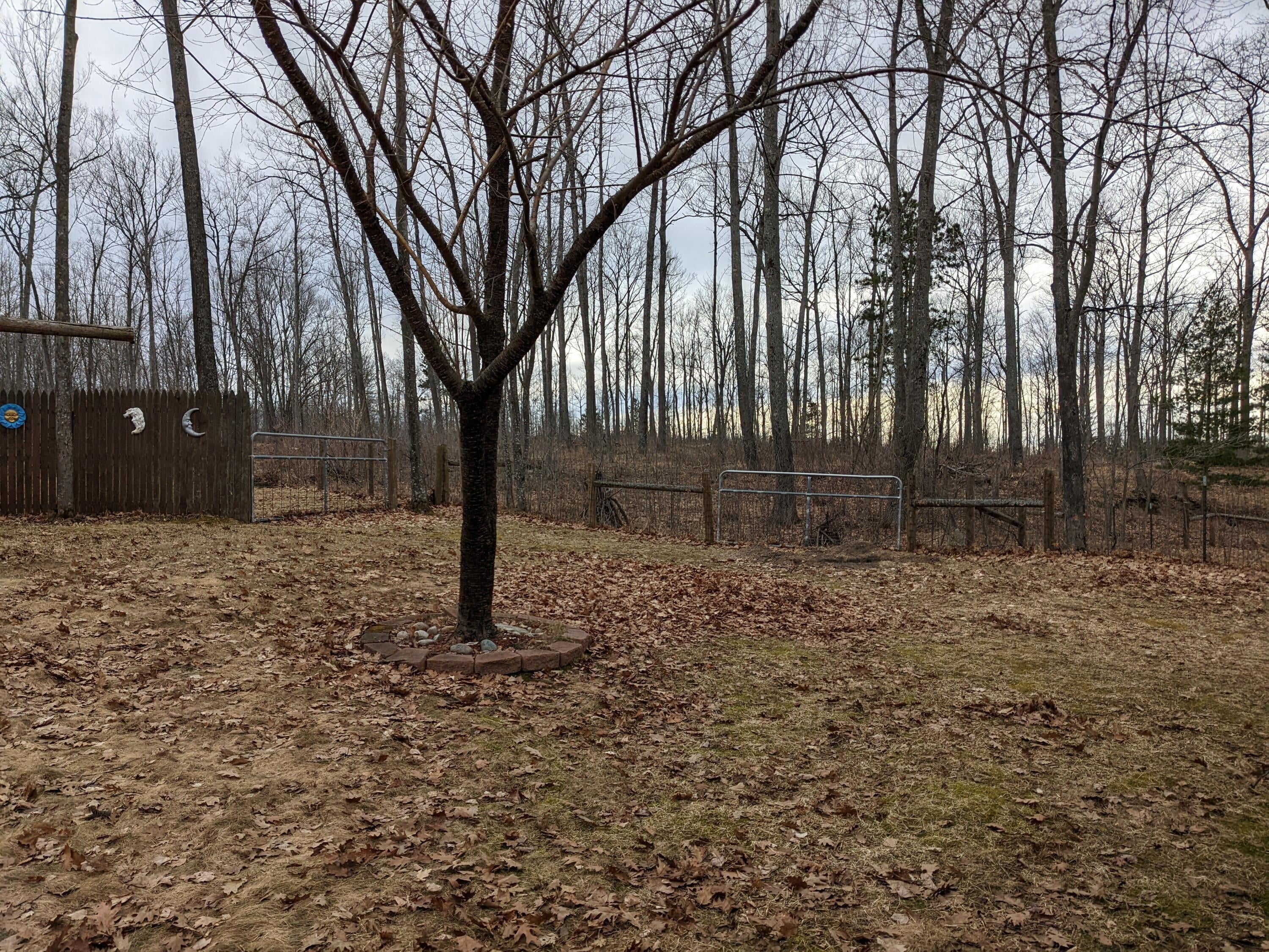 7930 Mitchell Road Atlanta, MI 49709 - Photo 56 of 82 Gallery Image 56