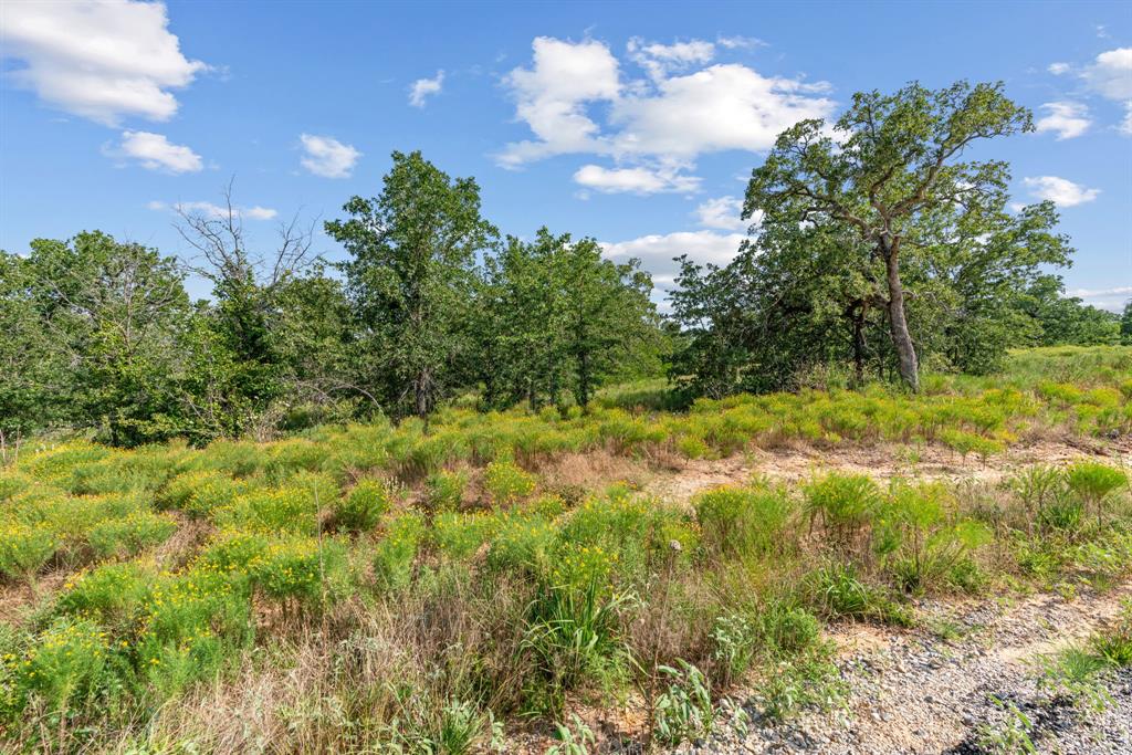 Lot 32 Galway Road Poolville, TX 76487 - Photo 13 of 18