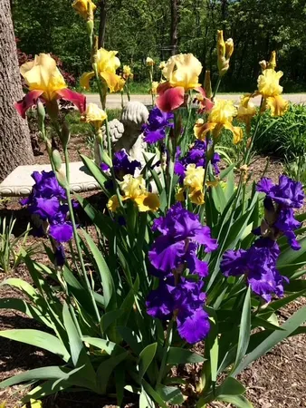 $585,000 | 48 Indian Hills Drive, Putnam, IL 61560