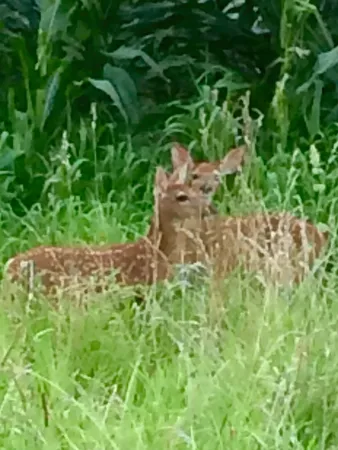 $585,000 | 48 Indian Hills Drive, Putnam, IL 61560