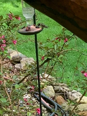 $585,000 | 48 Indian Hills Drive, Putnam, IL 61560