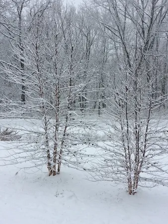 $585,000 | 48 Indian Hills Drive, Putnam, IL 61560