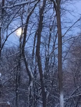 $585,000 | 48 Indian Hills Drive, Putnam, IL 61560