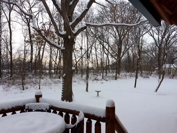 $585,000 | 48 Indian Hills Drive, Putnam, IL 61560