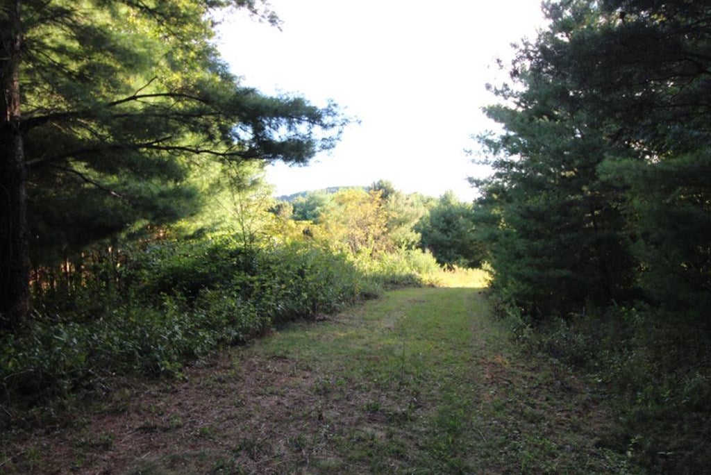 Tbd Joy Ranch Road, Unit 97A77 Woodlawn, VA 24381 - Photo 29 of 43 Gallery Image 29