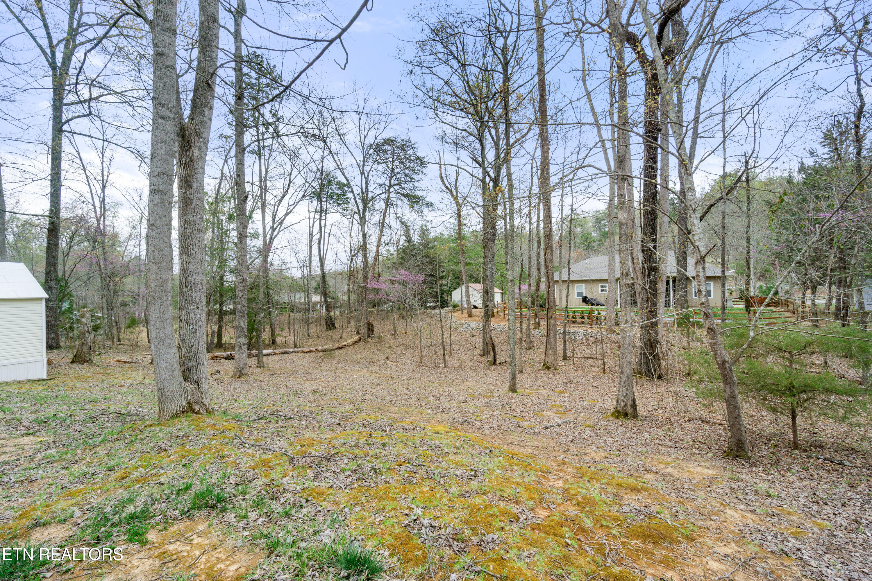 127 Pine Loop Drive Madisonville, TN 37354 - Photo 36 of 39 127 Pine Loop Dr-32