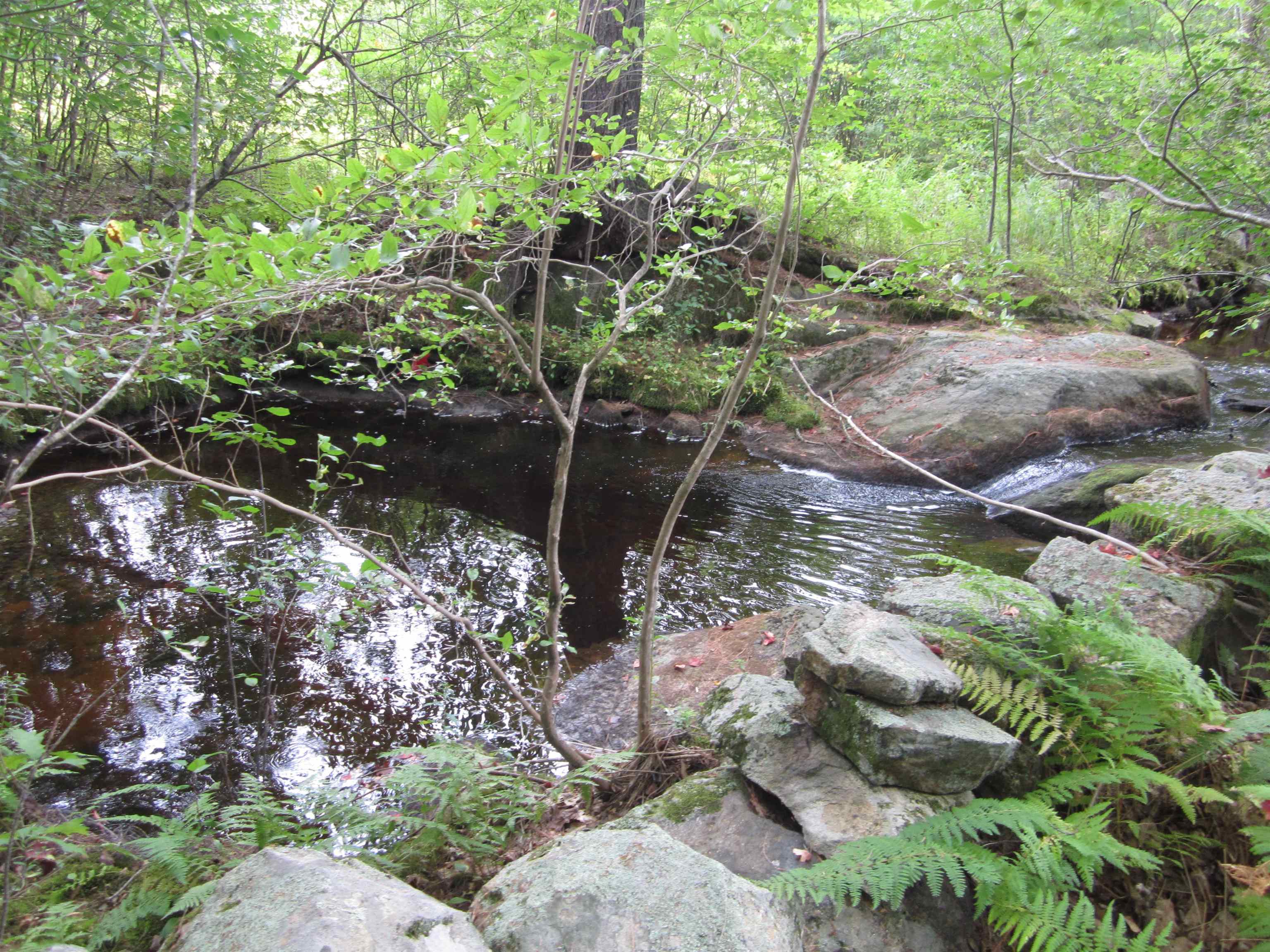 9 Lawrence Road Troy, NH 03465 - Photo 14 of 40