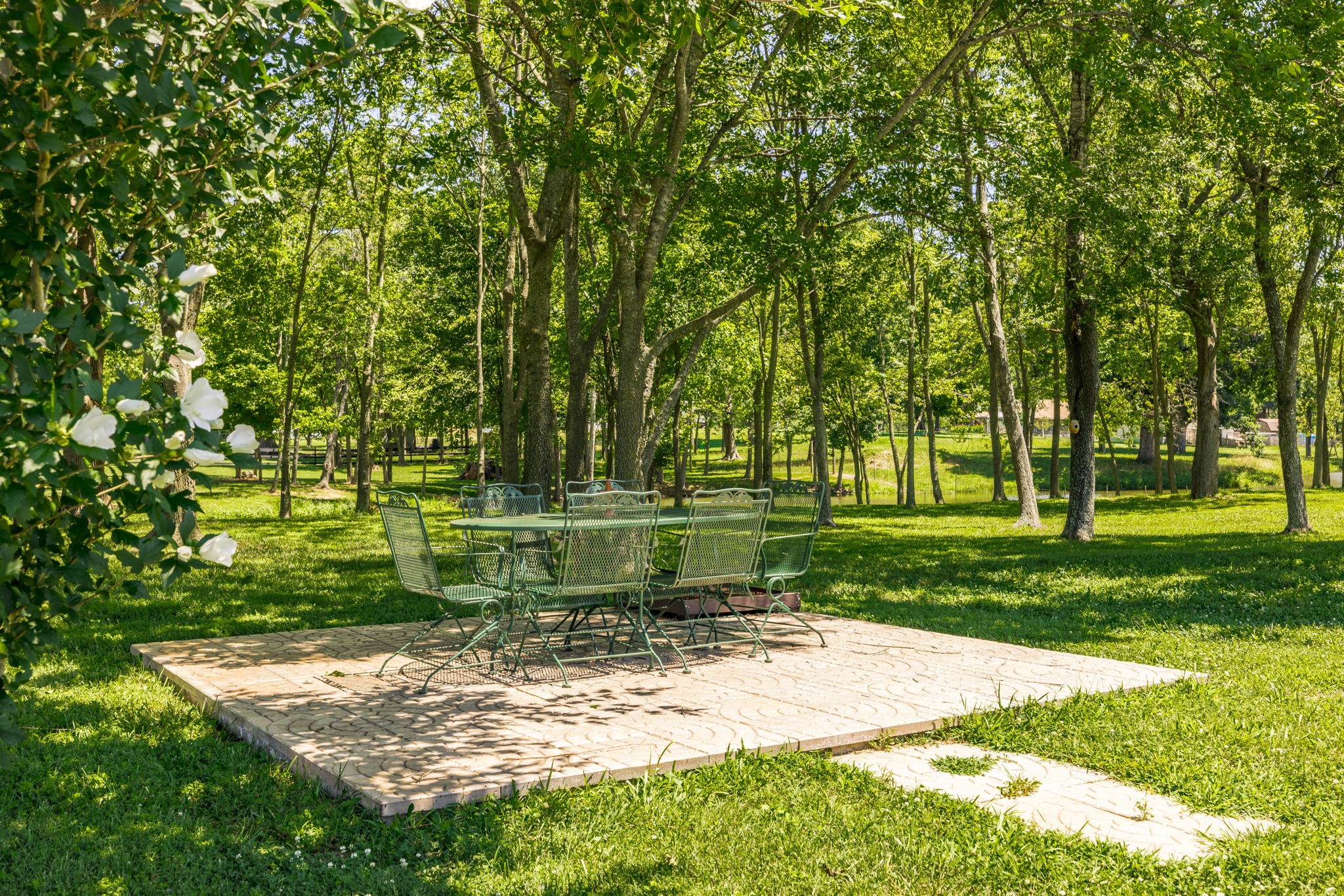 4265 Armstrong Road Springfield, TN 37172 - Photo 48 of 57 a view of a park with large trees