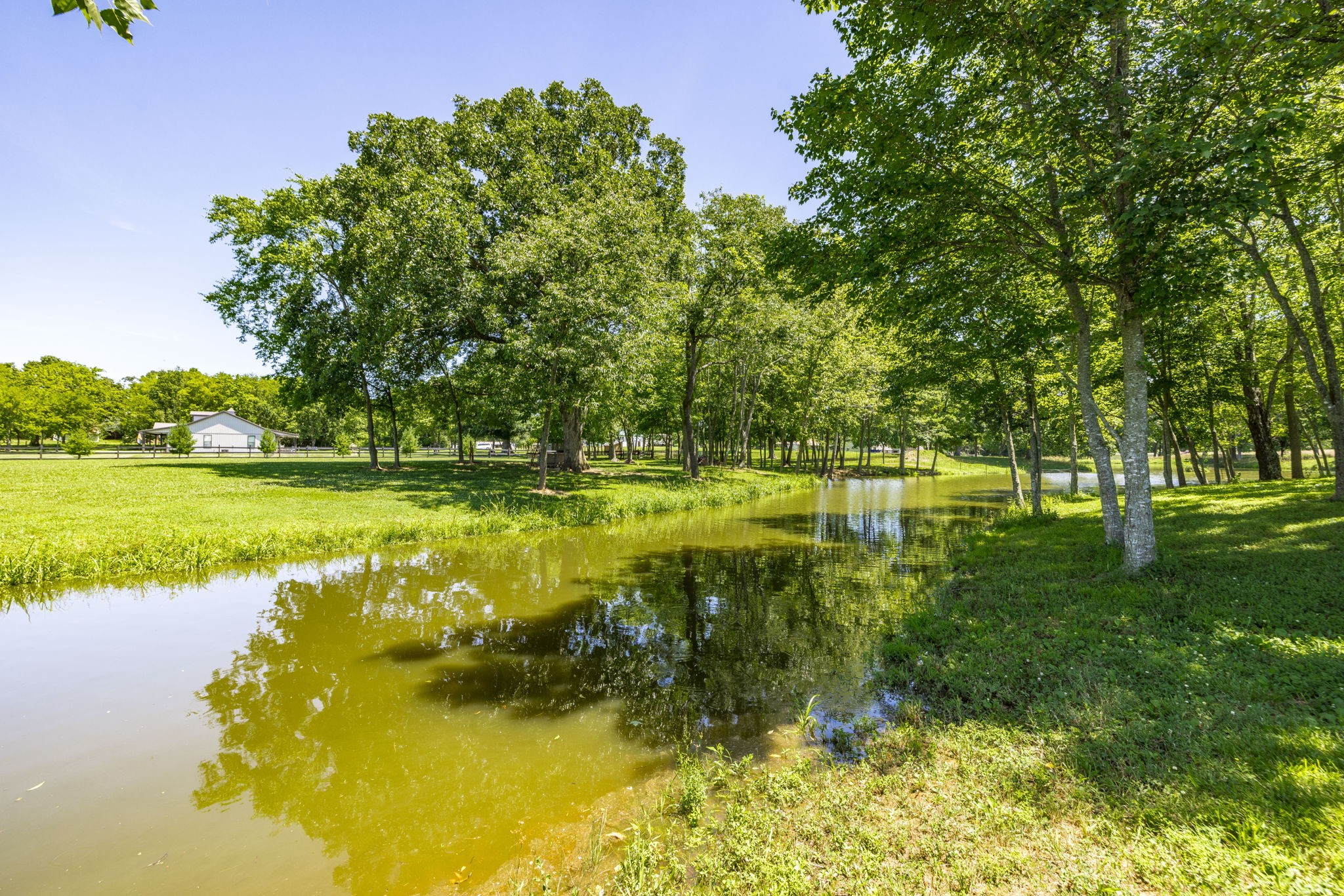 4265 Armstrong Road Springfield, TN 37172 - Photo 49 of 57 a view of a swimming pool with a yard and large trees