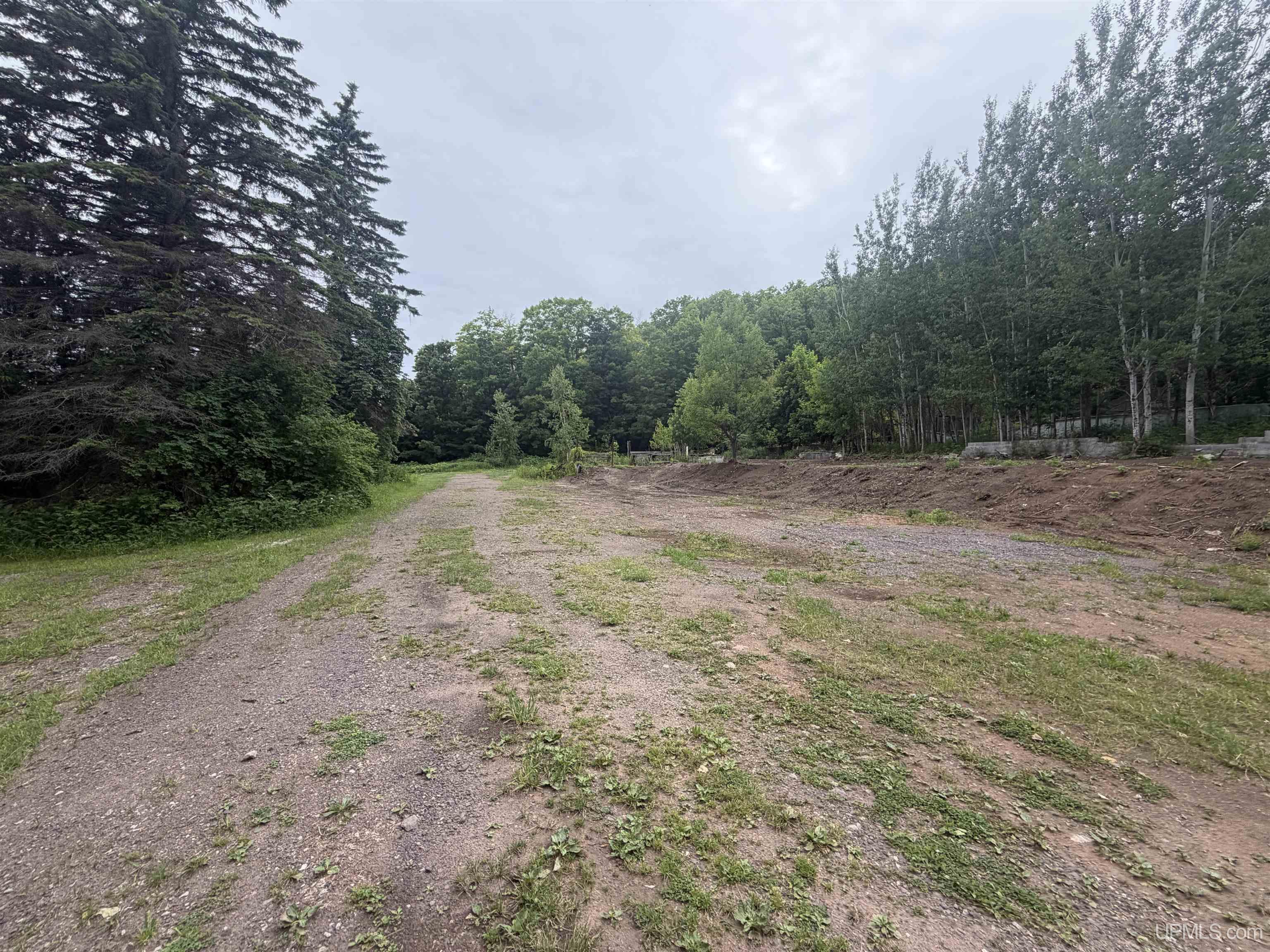 21342 Royce Road Hancock, MI 49930 - Photo 80 of 94