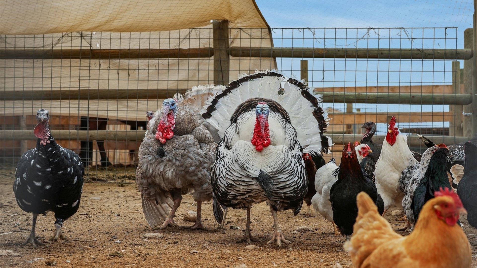 3365 C Road Palisade, CO 81526 - Photo 27 of 42