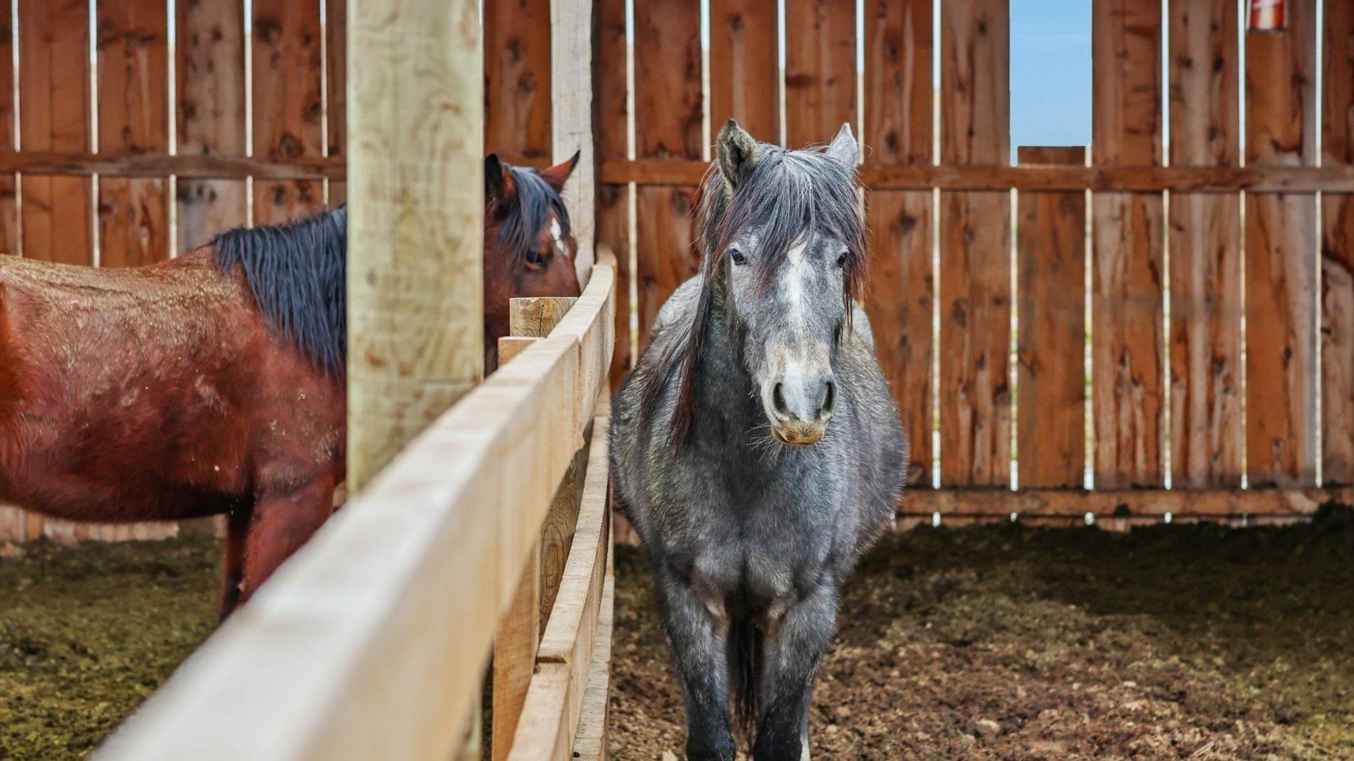 3365 C Road Palisade, CO 81526 - Photo 28 of 42