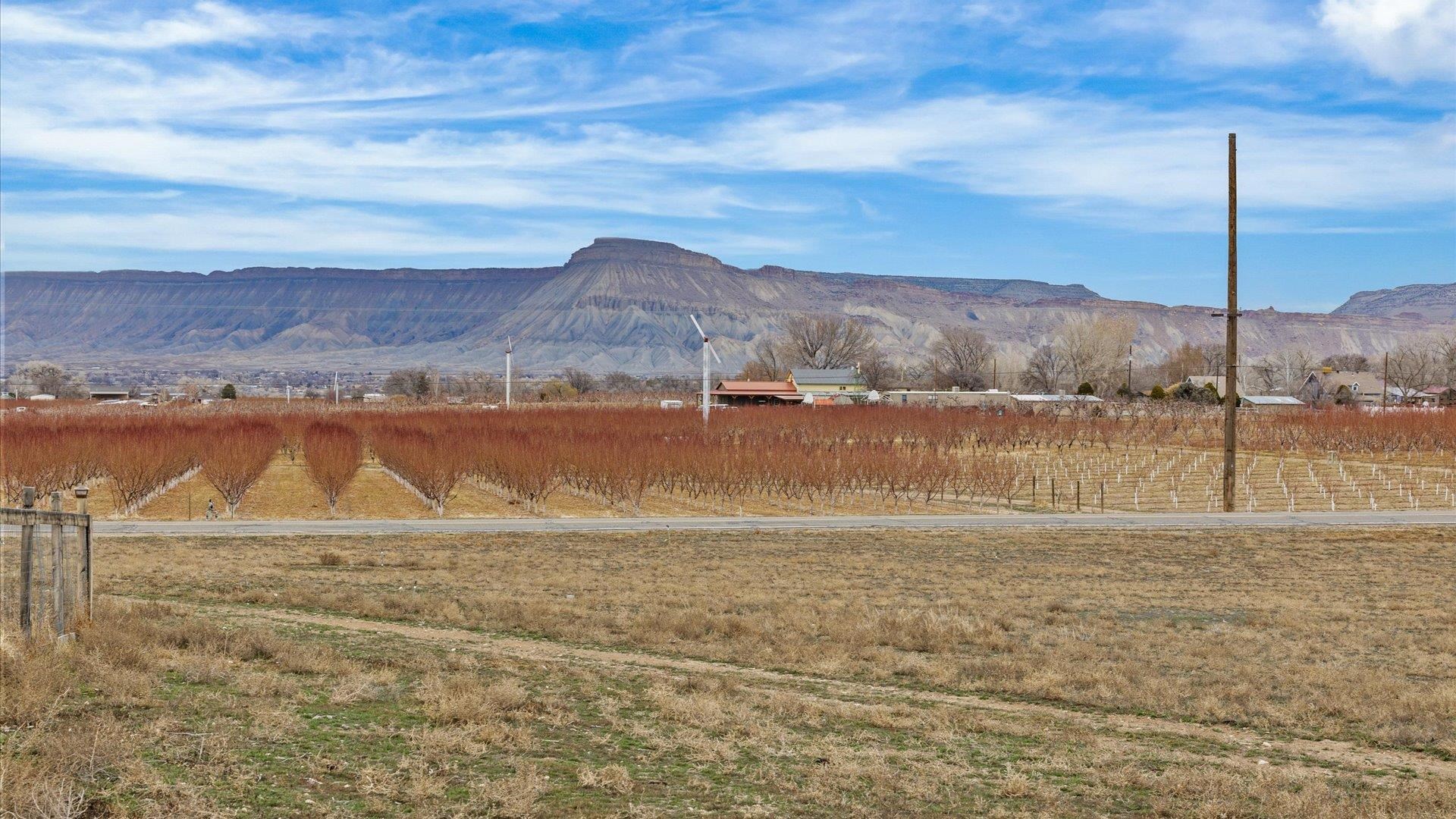 3365 C Road Palisade, CO 81526 - Photo 3 of 42
