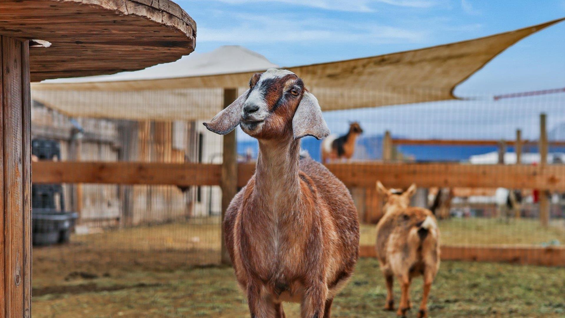 3365 C Road Palisade, CO 81526 - Photo 31 of 42
