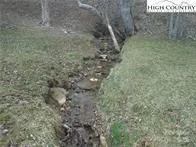 a view of a dry yard