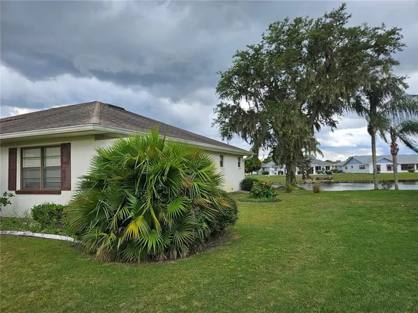 a backyard of a house with plants and large tree