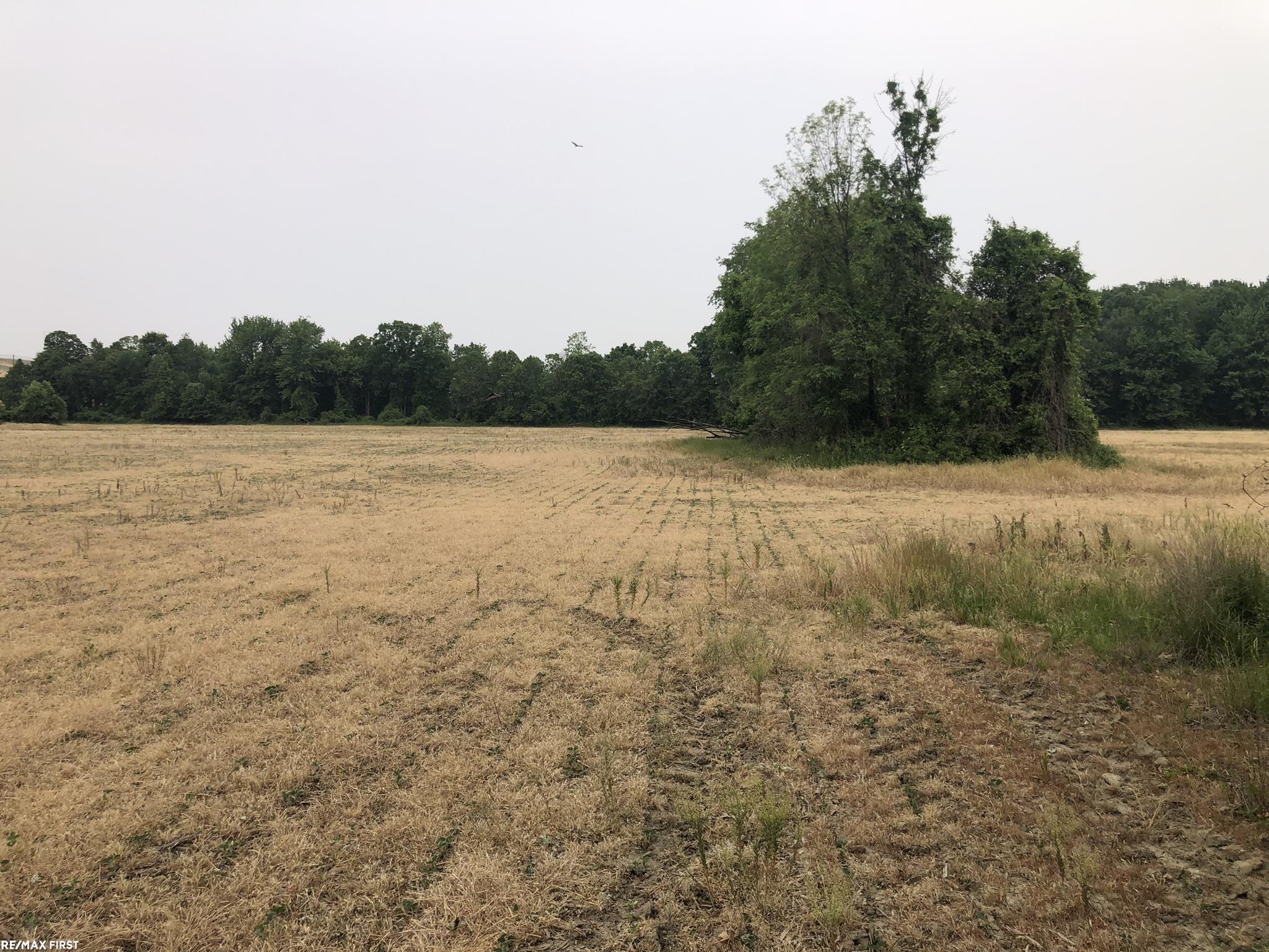 0 29 29 Mile Road New Haven, MI 48050 - Photo 10 of 38