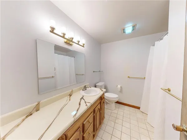 a bathroom with a sink a toilet and a mirror