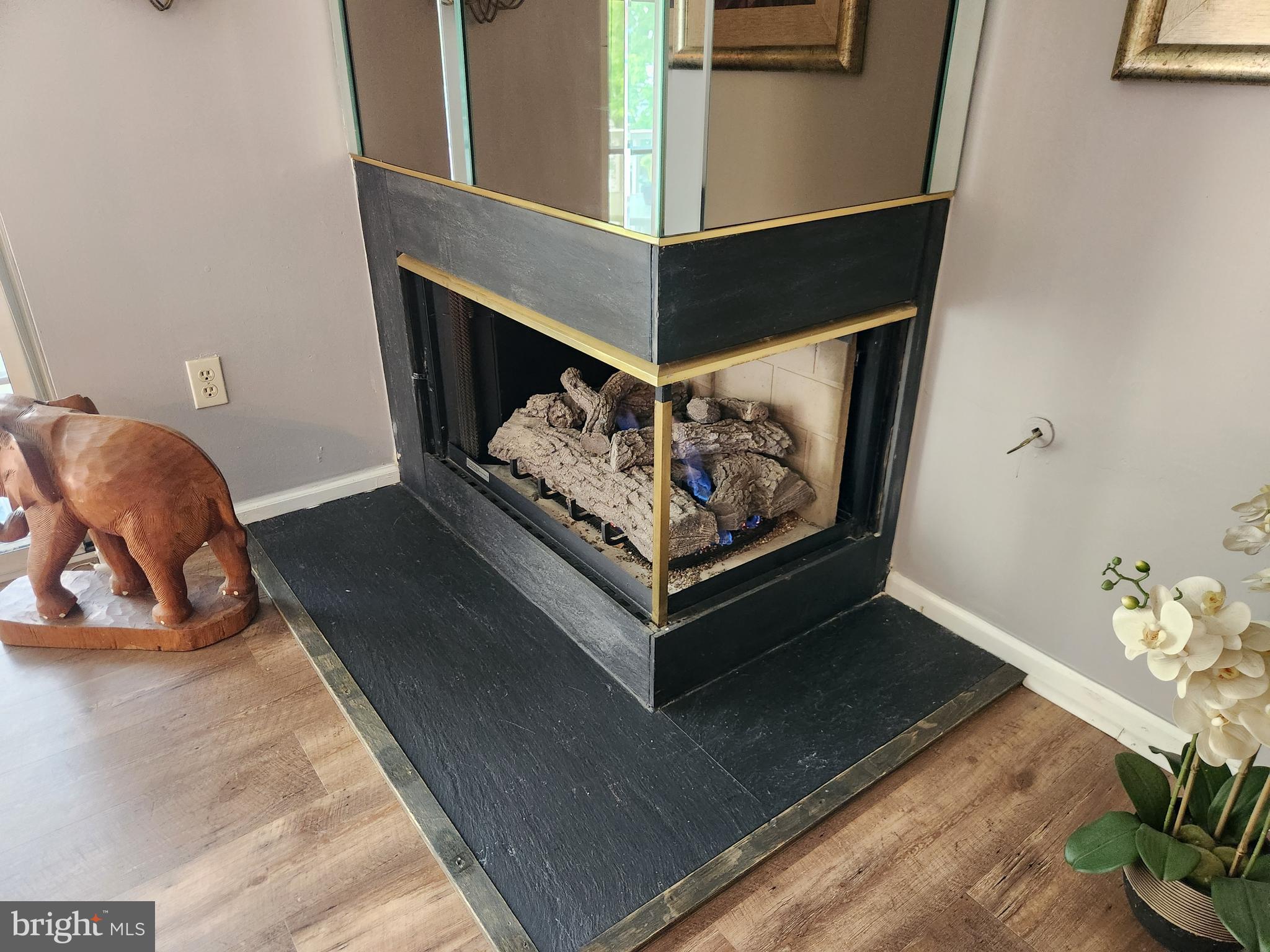 5201 Riverfront Drive Palmyra, NJ 08065 - Photo 8 of 13 a living room with furniture and a potted plant