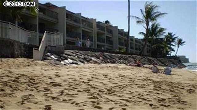 3833 Lower Honoapiilani Road, Unit A203 Lahaina, HI 96761 - Photo 24 of 26 a view of a backyard of the house