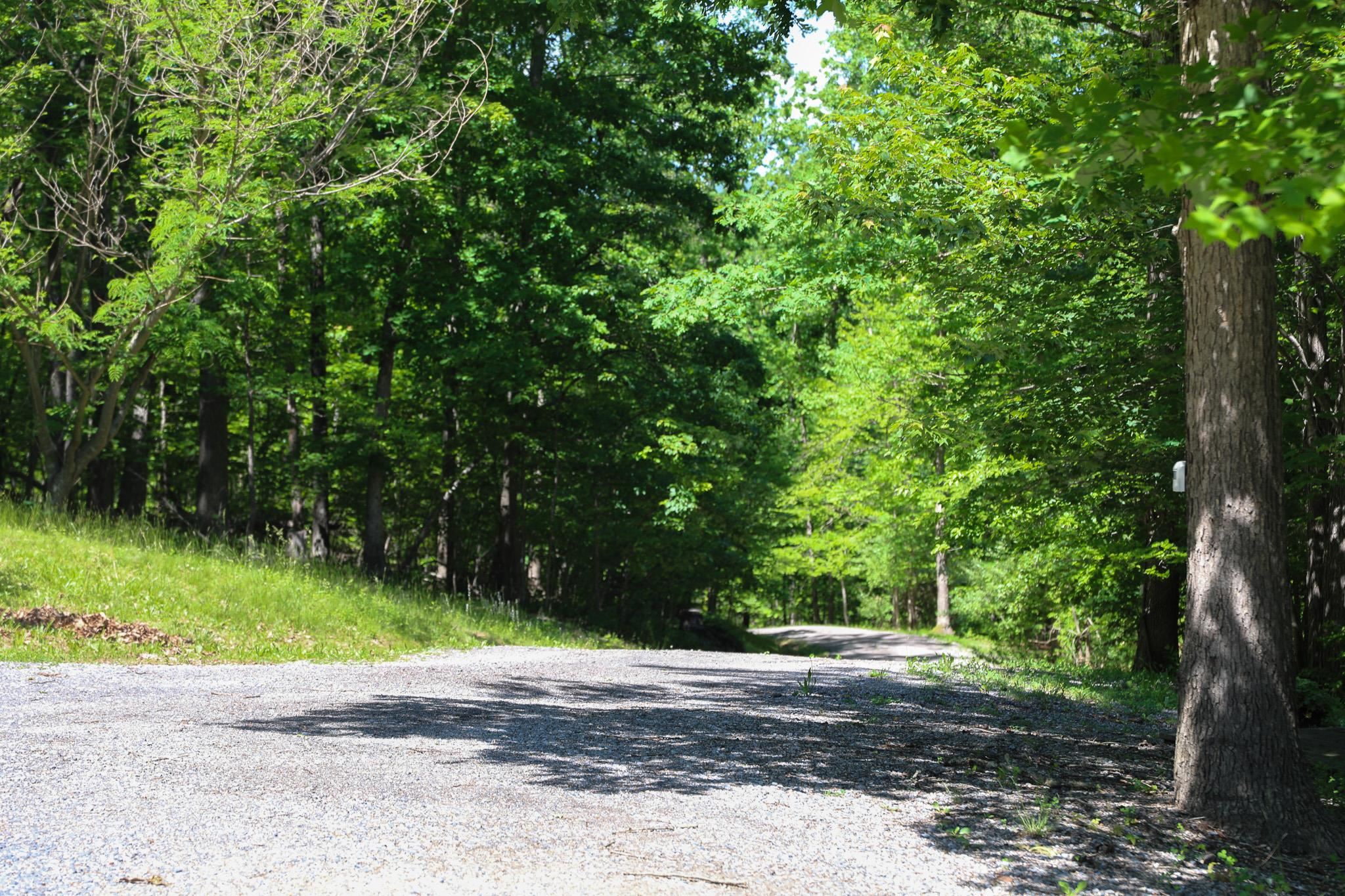 113 Calf Mountain Road Waynesboro, VA 22980 - Photo 15 of 53